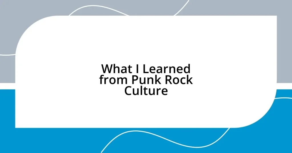 What I Learned from Punk Rock Culture