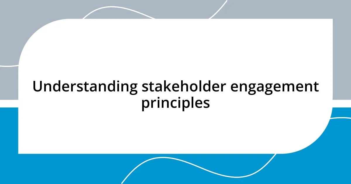 Understanding stakeholder engagement principles