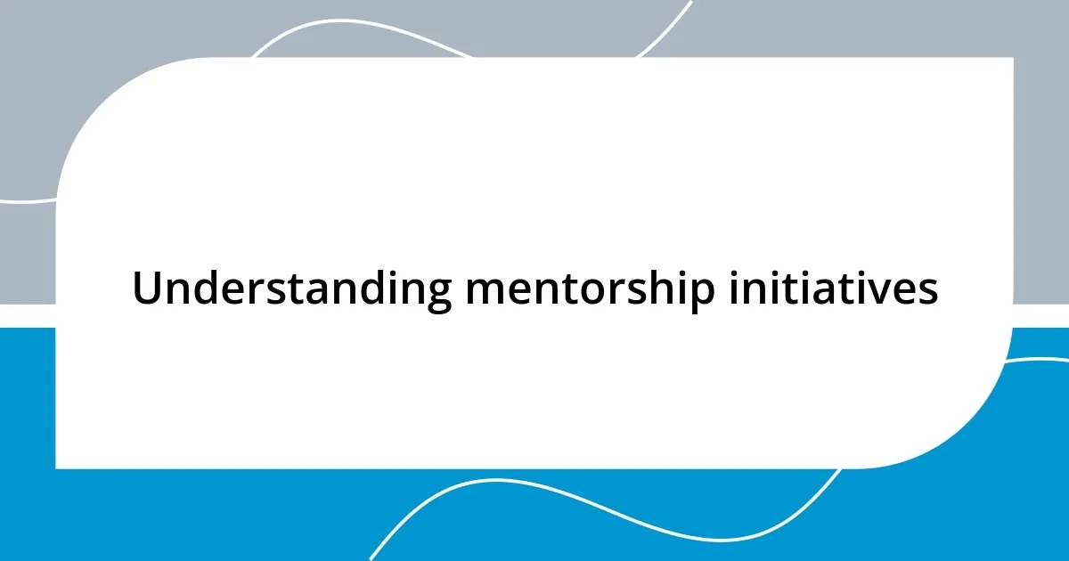 Understanding mentorship initiatives